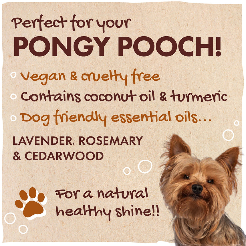 Dog Shampoo - mypure.co.uk