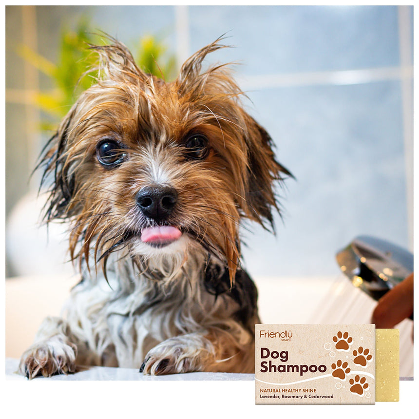 Dog Shampoo - mypure.co.uk